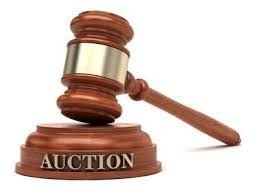 Rules and terms for Auction properties