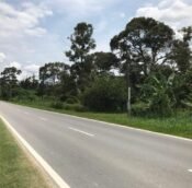 Mantin land for sale, agriculture | Negeri Sembilan