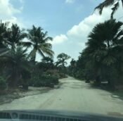  Sungai Buloh agriculture land for rent, Kuala Lumpur