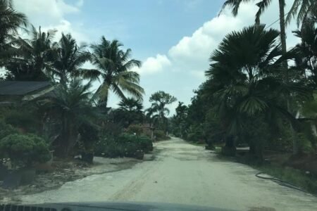 Sungai Buloh agriculture land for rent, Kuala Lumpur