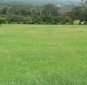  land for sale in Mont Kiara Kuala Lumpur, Malaysia