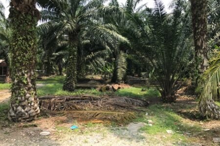 Jenjarom, Land for sale – Selangor