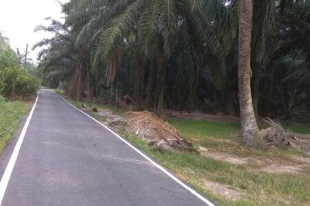 Kapar, Klang Selangor | Agriculture land for sale