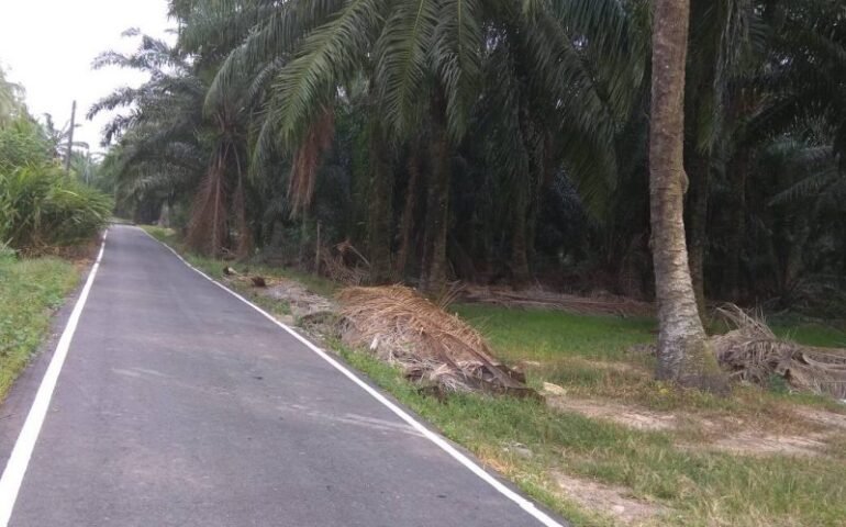 Kapar, Klang Selangor | Agriculture land for sale