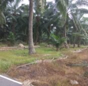  Kapar, Klang Selangor | Agriculture land for sale