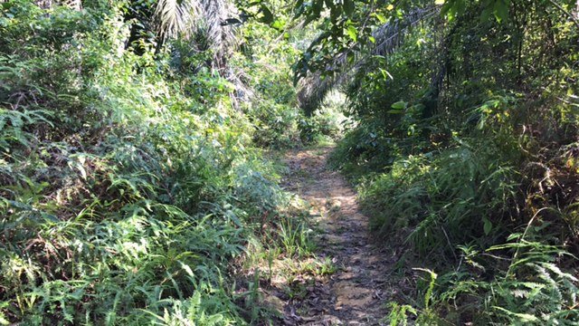 jasin melaka agriculture land for sale Malaysia