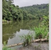 Seremban, Negeri Sembilan Malaysia, Agriculture Land for sale