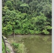 Seremban, Negeri Sembilan Malaysia, Agriculture Land for sale