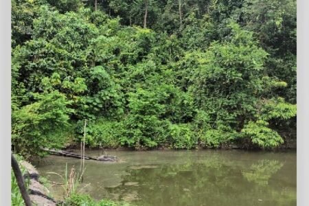 Seremban, Negeri Sembilan Malaysia, Agriculture Land for sale