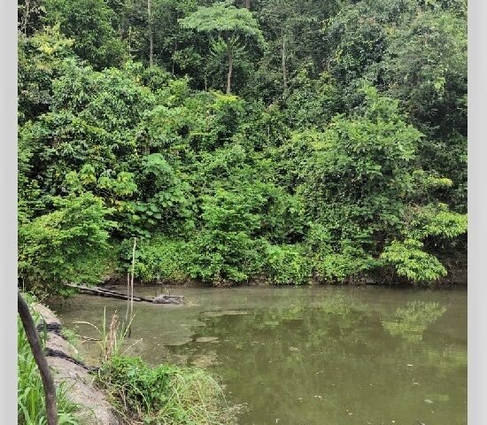 Seremban, Negeri Sembilan Malaysia, Agriculture Land for sale