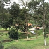  Gemas agriculture land for sale, Negeri Sembilan