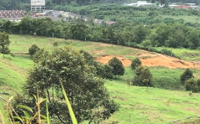Gemas agriculture land for sale, Negeri Sembilan