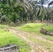 Senai Land for sale, Kulai Johor, Malaysia