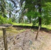 Senai Land for sale, Kulai Johor, Malaysia