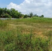  Bayan Lepas Penang Potential Area to Land Invest 2025