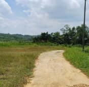  Bayan Lepas Penang Potential Area to Land Invest 2025