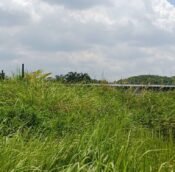 Subang Perdana agri land, residential (5)