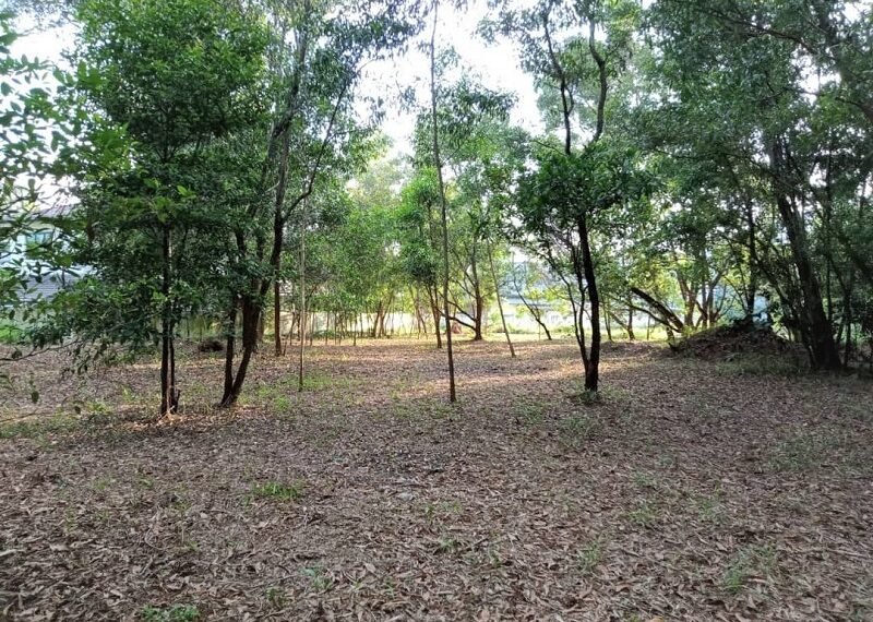 Subang Jaya Bungalow Land for Sale Selangor