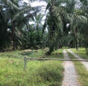 Banting Land for sale Selangor