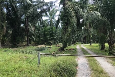 Banting Land for sale Selangor