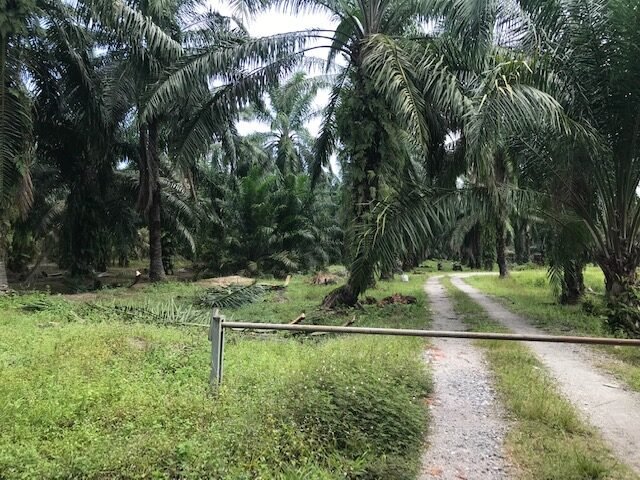 Banting Land for sale Selangor