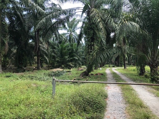 Jenjarom Selangor industrial land for sale