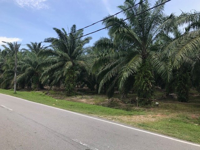 Jenjarom Selangor industrial land for sale 