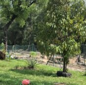  Glenmarie Land for sale, Shah Alam, Selangor