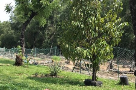 Glenmarie Land for sale, Shah Alam, Selangor