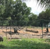 Glenmarie Land for sale, Shah Alam, Selangor