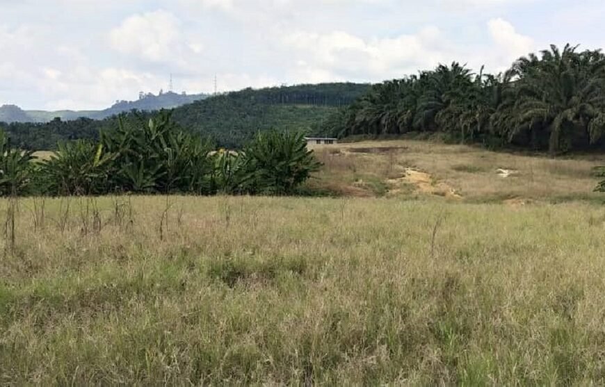 Malaysia Land for sale and rent