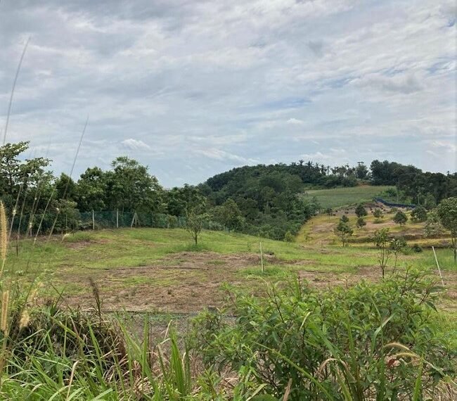 Semenyih mix developments Land for sale