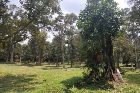 700 acres land for sale, Negeri Sembilan, Malaysia