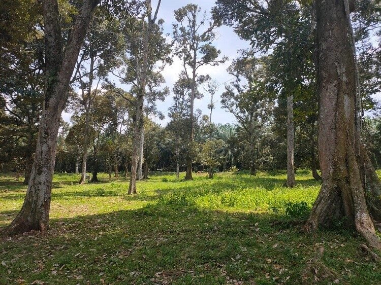 Land for Sale near KLIA, unlocking investment potential